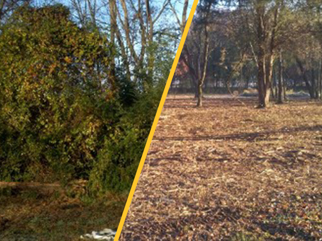 Residential Cleanup - Decaturville, TN