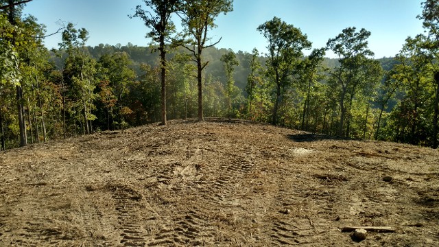 Vegetation Clearing - Decaturville, TN